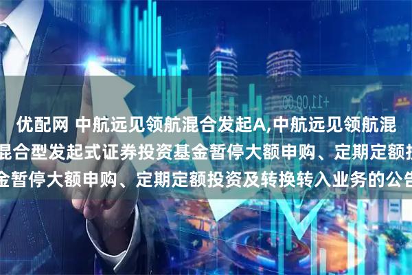 优配网 中航远见领航混合发起A,中航远见领航混合发起C: 中航远见领航混合型发起式证券投资基金暂停大额申购、定期定额投资及转换转入业务的公告