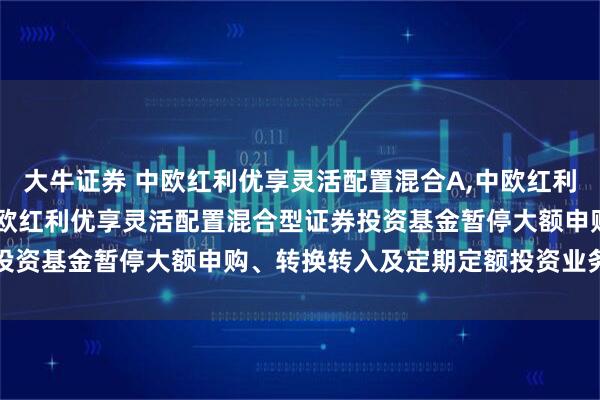 大牛证券 中欧红利优享灵活配置混合A,中欧红利优享灵活配置混合C: 中欧红利优享灵活配置混合型证券投资基金暂停大额申购、转换转入及定期定额投资业务的公告